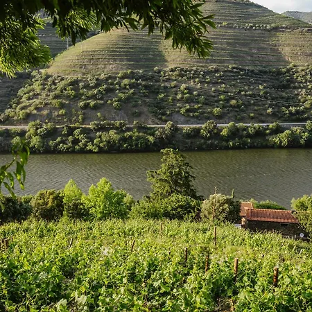 Quinta De Sao Jose Nyaraló Ervedosa do Douro
