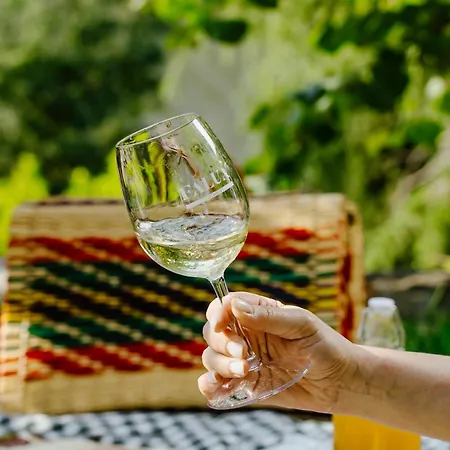 Quinta De Sao Jose * Ervedosa do Douro