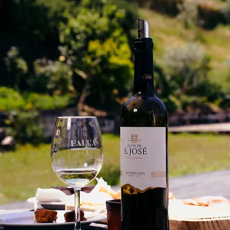 Prázdninový dům Quinta De Sao Jose Ervedosa do Douro